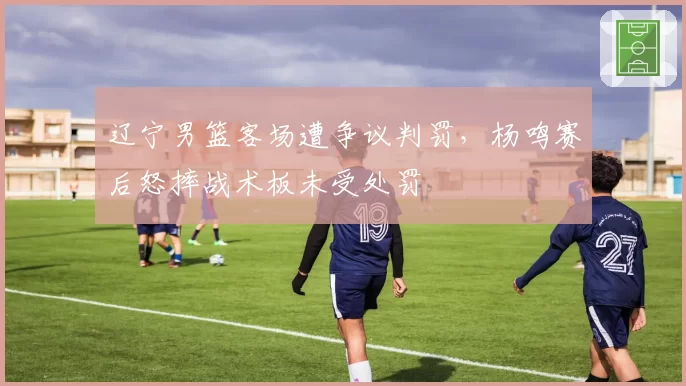 辽宁男篮客场遭争议判罚，杨鸣赛后怒摔战术板未受处罚