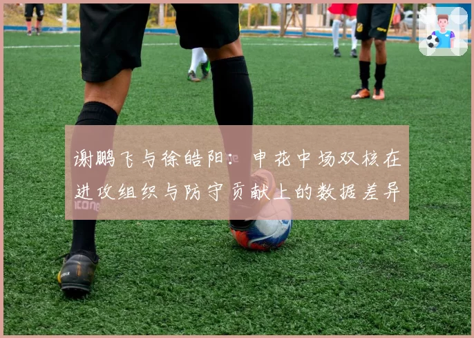 谢鹏飞与徐皓阳：申花中场双核在进攻组织与防守贡献上的数据差异