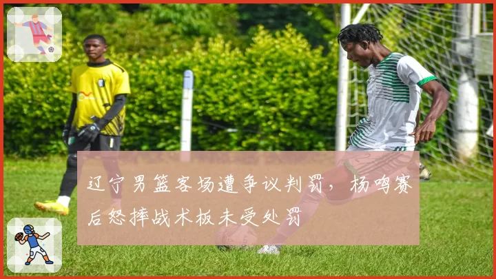 辽宁男篮客场遭争议判罚，杨鸣赛后怒摔战术板未受处罚